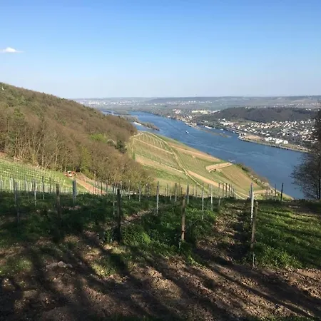 Am Rheinsteig ,privater Vermieter 公寓 *