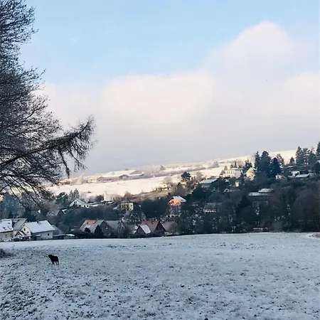 Am Rheinsteig ,privater Vermieter 公寓