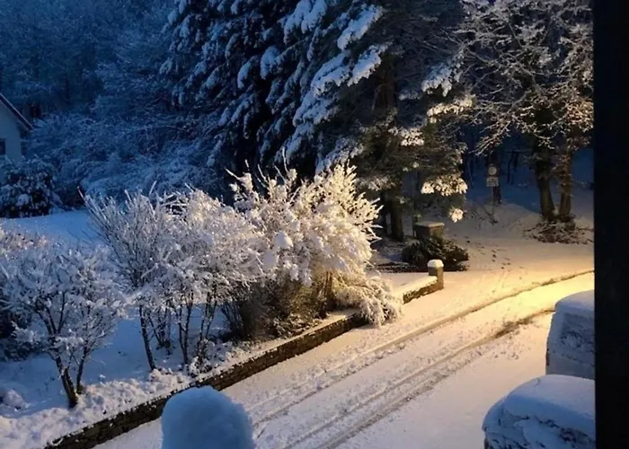 Am Rheinsteig ,privater Vermieter Apartman Geisenheim