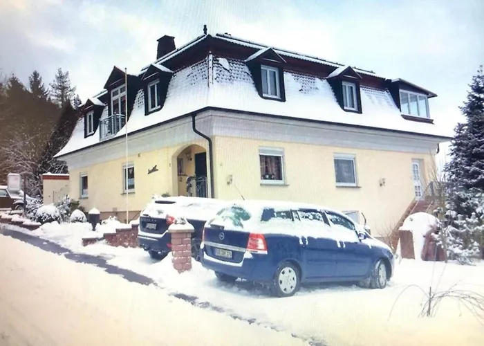 Apartman Am Rheinsteig ,privater Vermieter Geisenheim