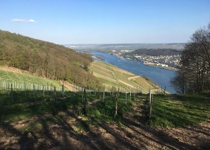 Am Rheinsteig ,privater Vermieter Apartman *